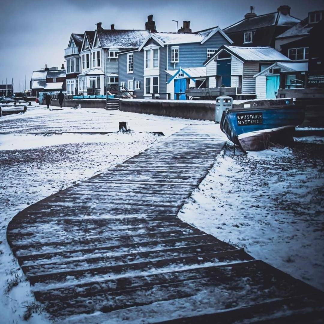 Charming Pink House With Perfect Location Daire Whitstable Oda fotoğraf